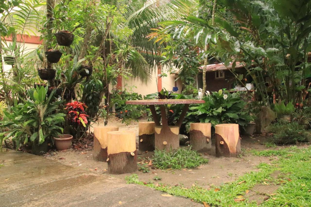 Theresa'S Pension House San Vicente  Exterior photo