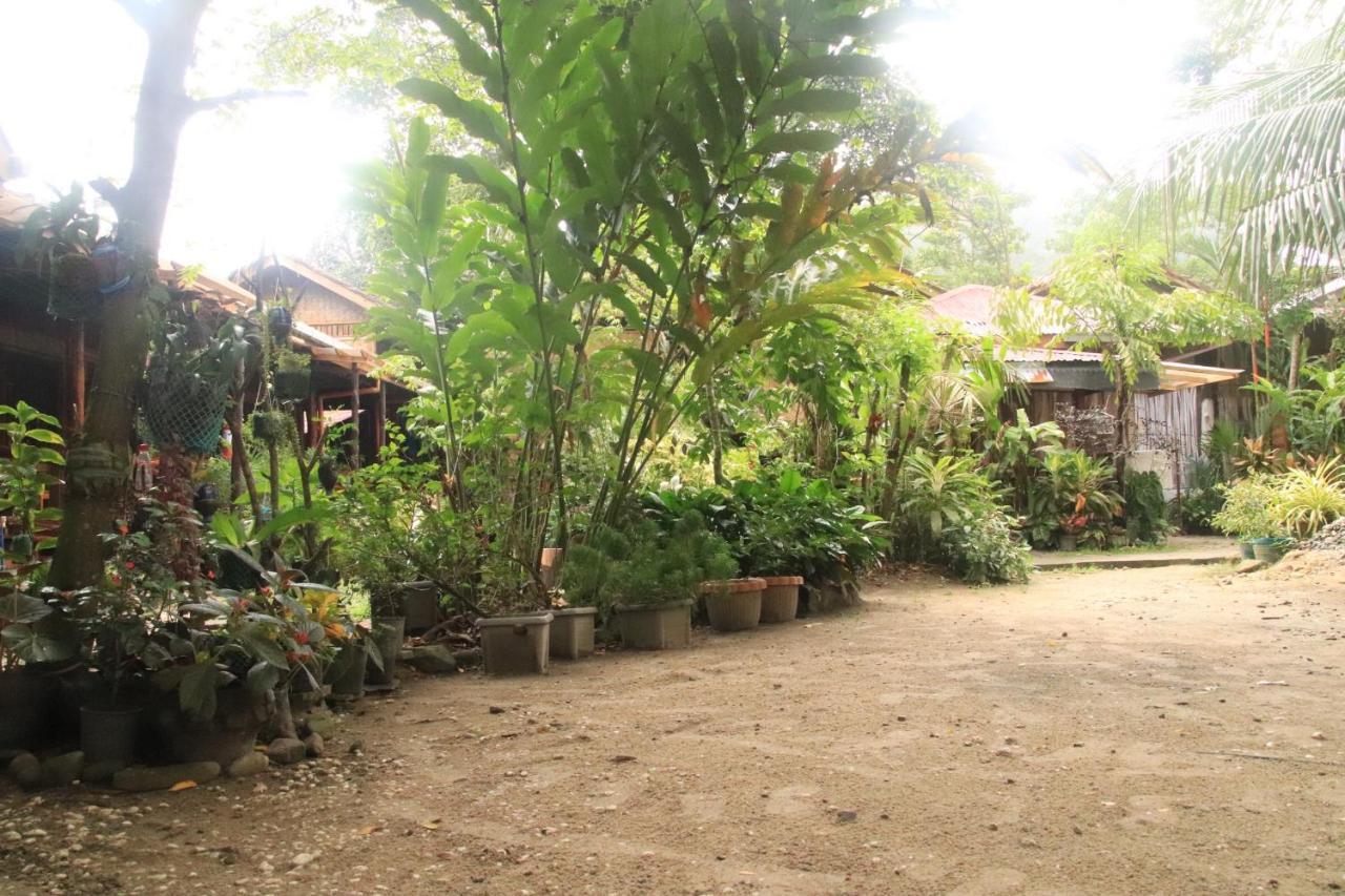 Theresa'S Pension House San Vicente  Exterior photo